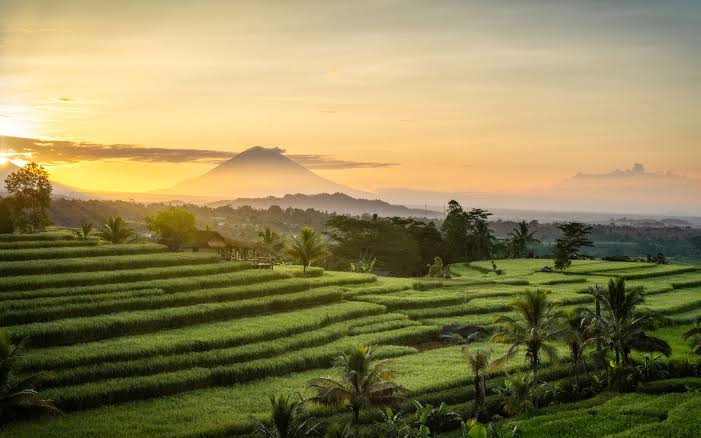 6N Kuta Ubud | Ex-DEL